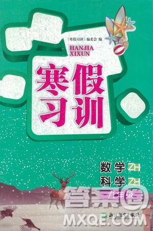 浙江教育出版社2021年寒假习训九年级数学科学浙教版答案