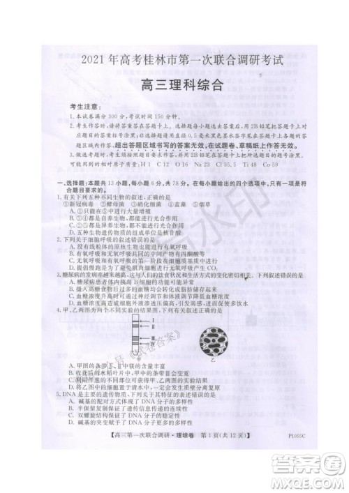 2021年高考桂林市第一次联考调研考试高三理综试题及答案
