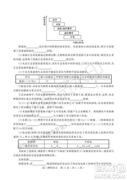 许昌济源平顶山2021年高三第一次质量检测理科综合试题及答案