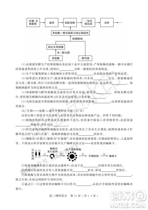 许昌济源平顶山2021年高三第一次质量检测理科综合试题及答案