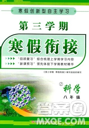浙江科学技术出版社2021年第三学期寒假衔接八年级科学浙教版答案