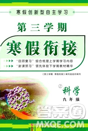 浙江科学技术出版社2021年第三学期寒假衔接九年级科学浙教版答案