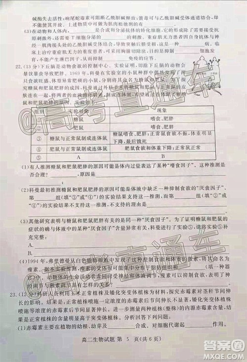 黄冈市2020年秋季高二年级期末调研考试生物试题及答案 黄冈市2020年秋季高二年级期末调研考试生物试题及答案
