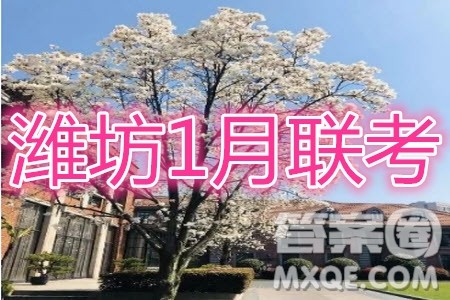 2021届潍坊高三1月联考语文试题及答案 2021届潍坊高三1月联考语文试题及答案