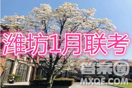 2021届潍坊高三1月联考语文试题及答案