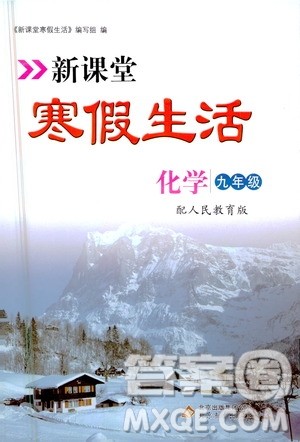 北京教育出版社2021新课堂寒假生活九年级化学人民教育版答案