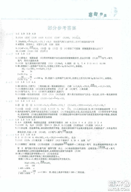 2021豫新锐寒假作业假期园地九年级化学答案