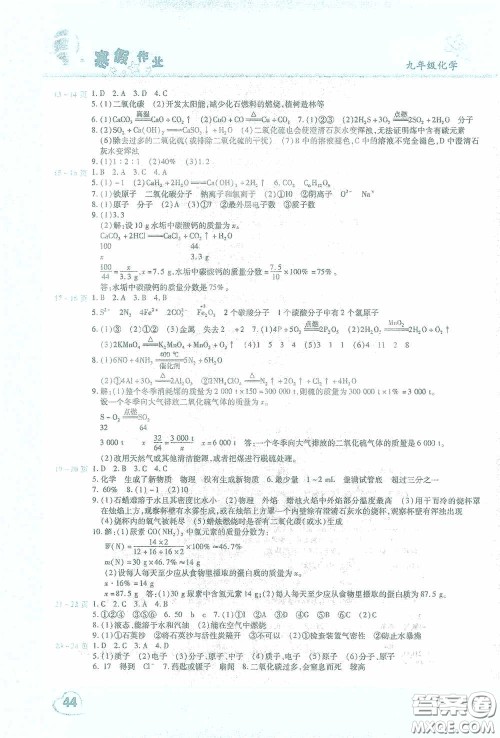 2021豫新锐寒假作业假期园地九年级化学答案