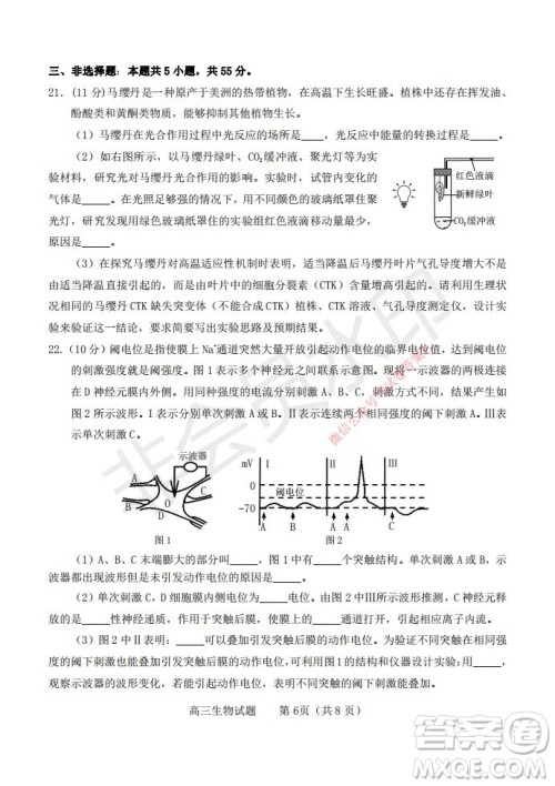 烟台2020-2021学年度第一学期期末学业水平诊断高三生物试题及答案