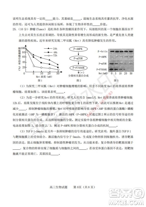 烟台2020-2021学年度第一学期期末学业水平诊断高三生物试题及答案 烟台2020-2021学年度第一学期期末学业水平诊断高三生物试题及答案