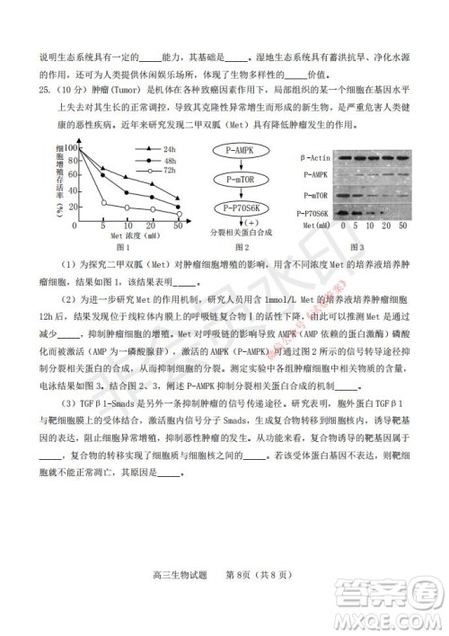 烟台2020-2021学年度第一学期期末学业水平诊断高三生物试题及答案