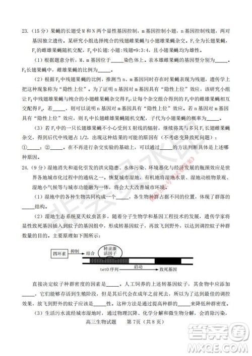 烟台2020-2021学年度第一学期期末学业水平诊断高三生物试题及答案 烟台2020-2021学年度第一学期期末学业水平诊断高三生物试题及答案