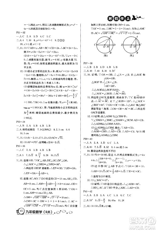 延边教育出版社2021快乐假期寒假作业九年级数学RJB人教版答案
