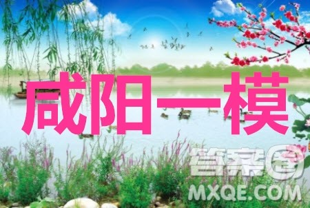 咸阳市2021年高考模拟检测一英语试题及答案 咸阳市2021年高考模拟检测一英语试题及答案