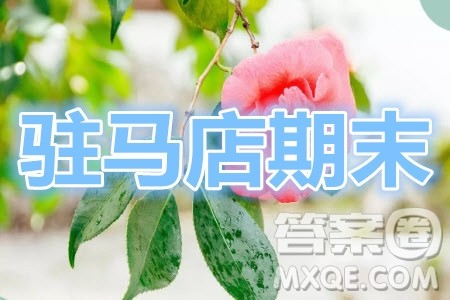 驻马店市2020-2021学年度第一学期高三年级期末统一考试语文试题及答案