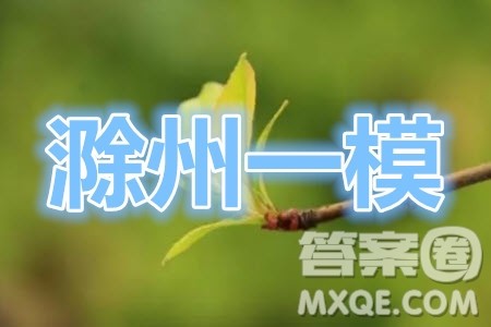 滁州市2021年高三第一次教学质量监测理科数学试题及答案 滁州市2021年高三第一次教学质量监测理科数学试题及答案