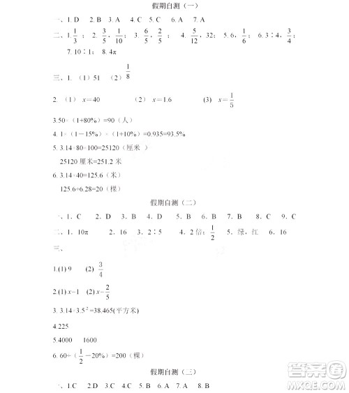 黑龙江少年儿童出版社2022阳光假日寒假六年级数学人教答案