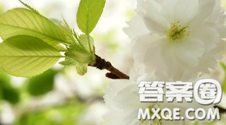 与春天拥抱话题作文600字 关于与春天拥抱的话题作文600字