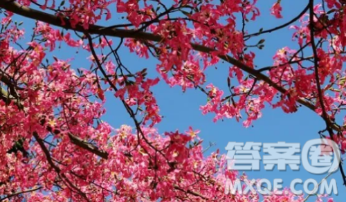 早春作文1000字 以早春为题作文1000字 早春作文1000字 以早春为题作文1000字