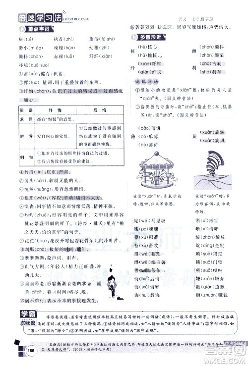 北京教育出版社2021年倍速学习法七年级语文下册人教版答案