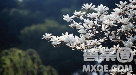 以早春为题的初中作文600字 关于早春的初中作文600字 以早春为题的初中作文600字 关于早春的初中作文600字