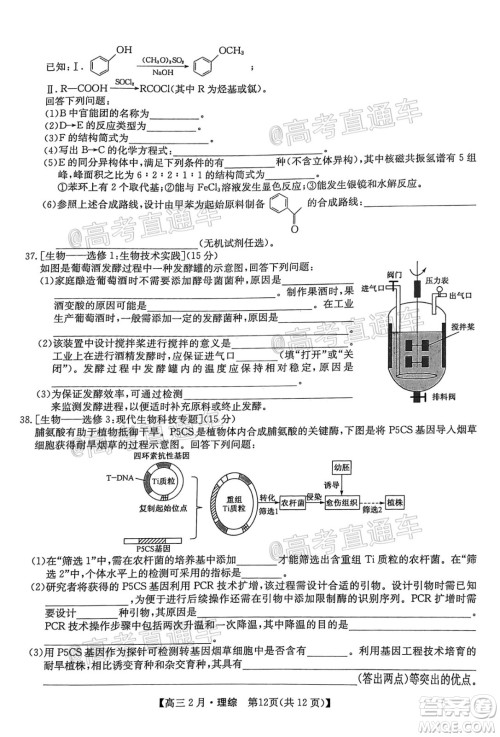 九师联盟2020-2021学年高三2月质量检测理科综合试题及答案