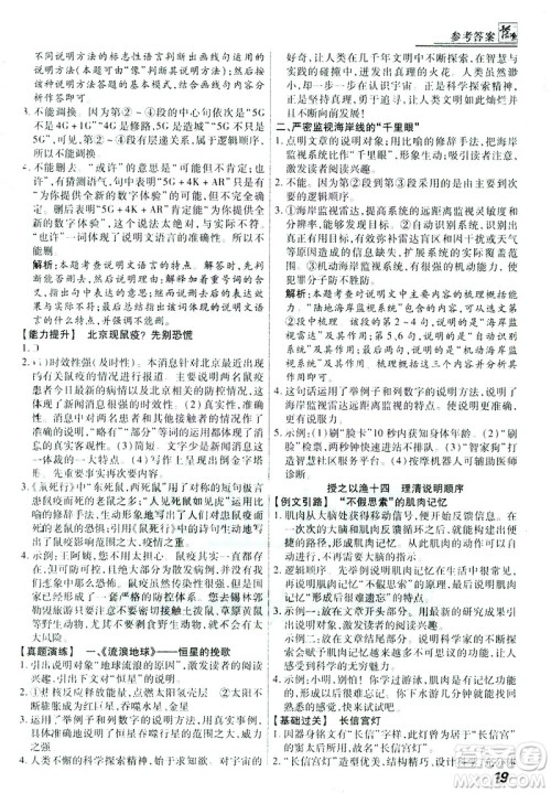 河北美术出版社2021版登甲阅读综合版七年级语文答案