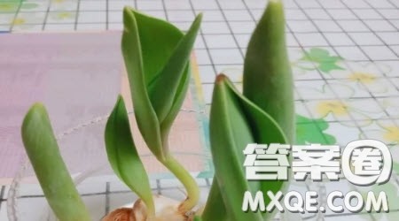 没有一粒种子会被春天遗忘作文500字 关于没有一粒种子会被春天遗忘的作文500字 没有一粒种子会被春天遗忘作文500字 关于没有一粒种子会被春天遗忘的作文500字