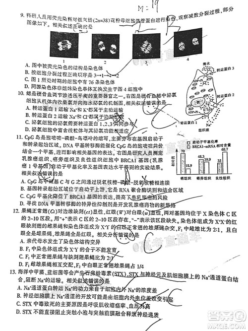 2021届南通一模生物试题及答案