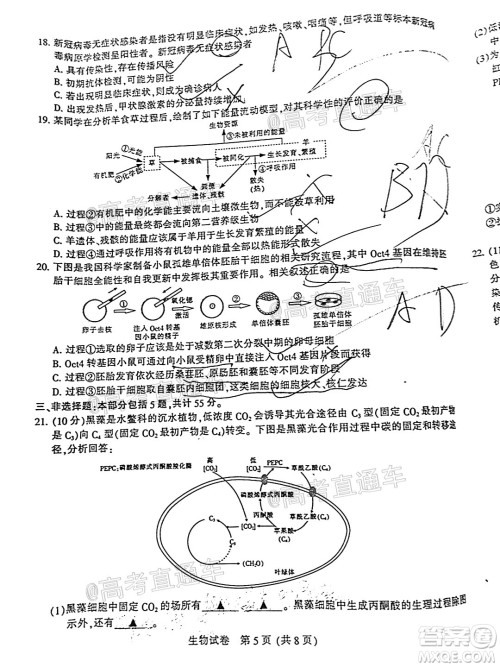 2021届南通一模生物试题及答案