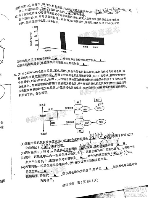 2021届南通一模生物试题及答案