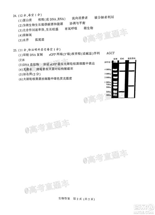 2021届南通一模生物试题及答案