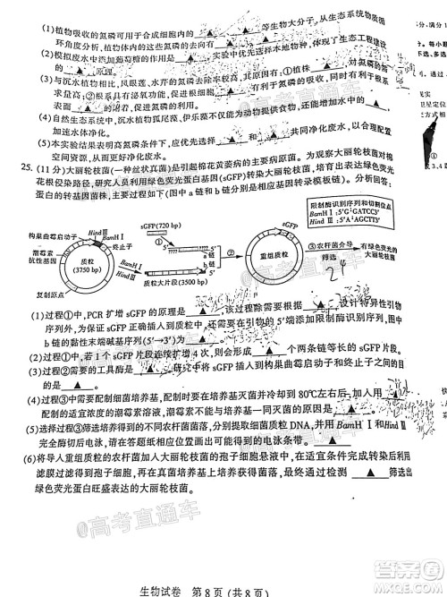 2021届南通一模生物试题及答案