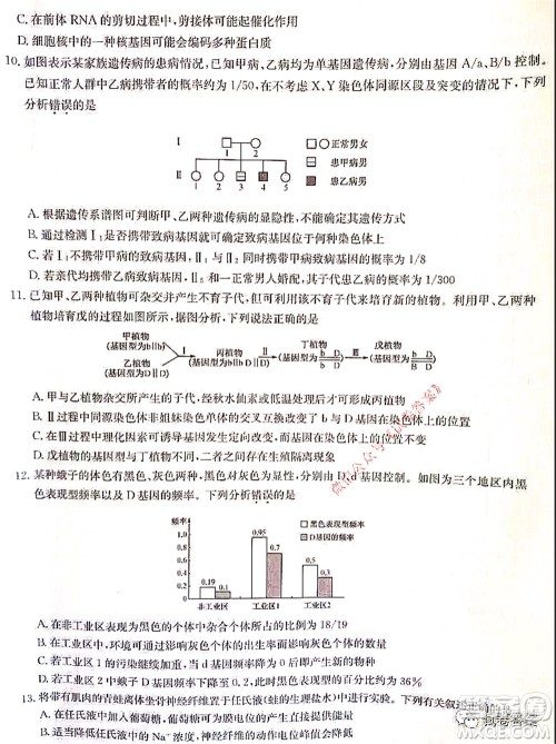 2021湖北九师联盟高三新高考2月考试生物试题及答案