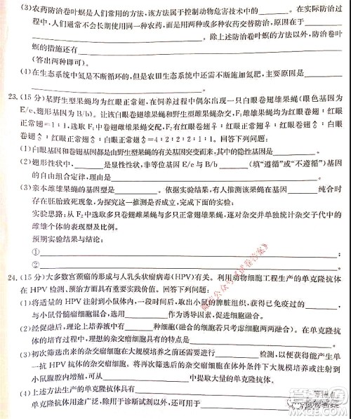 2021湖北九师联盟高三新高考2月考试生物试题及答案 2021湖北九师联盟高三新高考2月考试生物试题及答案