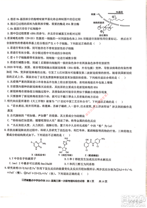 江西省重点中学协作体2021届高三年级第一次联考理科综合试题及答案