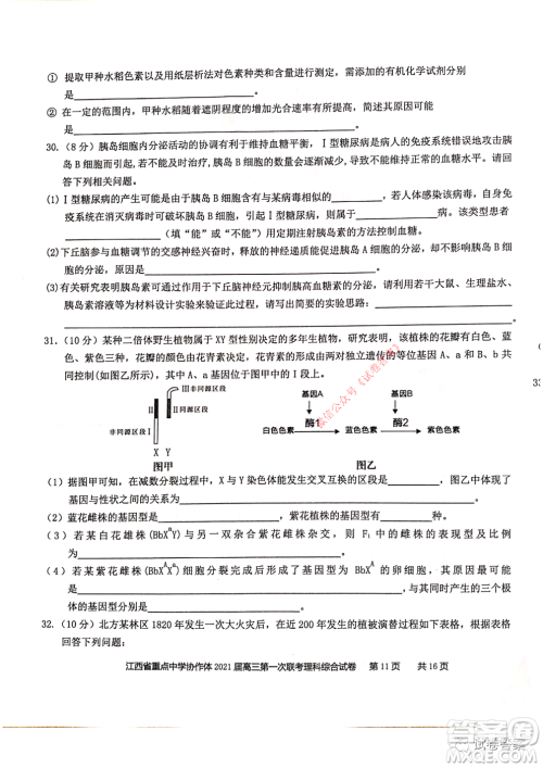 江西省重点中学协作体2021届高三年级第一次联考理科综合试题及答案