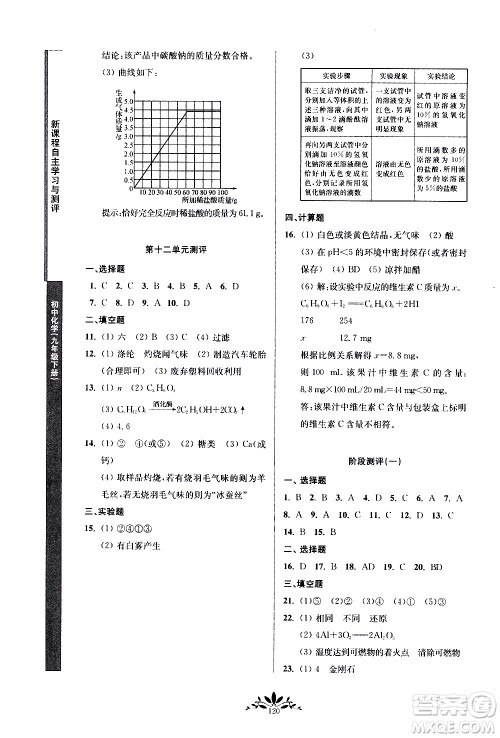 南京师范大学出版社2021年新课程自主学习与测评初中化学九年级下册人教版答案 南京师范大学出版社2021年新课程自主学习与测评初中化学九年级下册人教版答案
