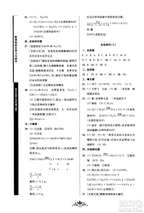 南京师范大学出版社2021年新课程自主学习与测评初中化学九年级下册人教版答案 南京师范大学出版社2021年新课程自主学习与测评初中化学九年级下册人教版答案