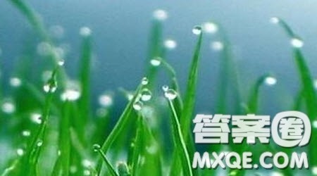 快乐的春雨作文500字 关于快乐的春雨的作文500字