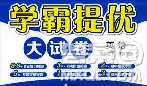 宁夏人民教育出版社2021学霸提优大试卷英语四年级下江苏国标答案