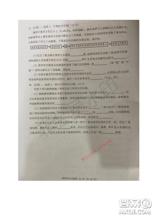 四川省2018级高中毕业班诊断性测试理科综合试题及答案 四川省2018级高中毕业班诊断性测试理科综合试题及答案