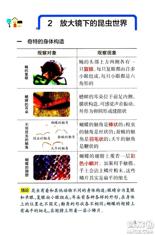 湖南师范大学出版社2021小学学霸速记科学六年级下册JK教科版答案 湖南师范大学出版社2021小学学霸速记科学六年级下册JK教科版答案