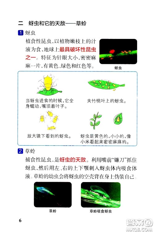 湖南师范大学出版社2021小学学霸速记科学六年级下册JK教科版答案 湖南师范大学出版社2021小学学霸速记科学六年级下册JK教科版答案