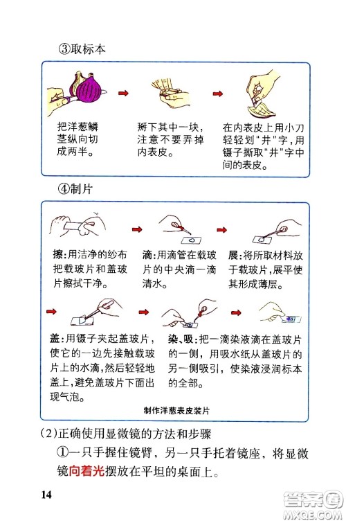 湖南师范大学出版社2021小学学霸速记科学六年级下册JK教科版答案 湖南师范大学出版社2021小学学霸速记科学六年级下册JK教科版答案