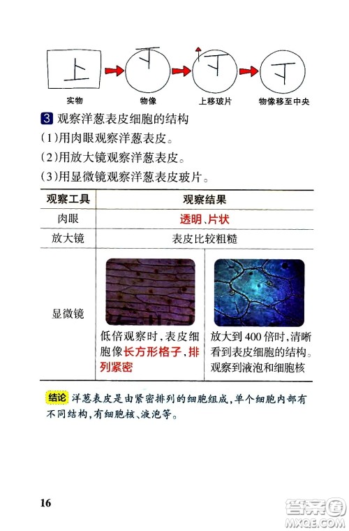 湖南师范大学出版社2021小学学霸速记科学六年级下册JK教科版答案 湖南师范大学出版社2021小学学霸速记科学六年级下册JK教科版答案