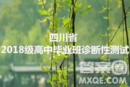 四川省2018级高中毕业班诊断性测试文科数学试题及答案 四川省2018级高中毕业班诊断性测试文科数学试题及答案