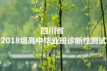 四川省2018级高中毕业班诊断性测试理科数学试题及答案 四川省2018级高中毕业班诊断性测试理科数学试题及答案