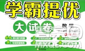 宁夏人民教育出版社2021学霸提优大试卷数学六年级下江苏国标答案