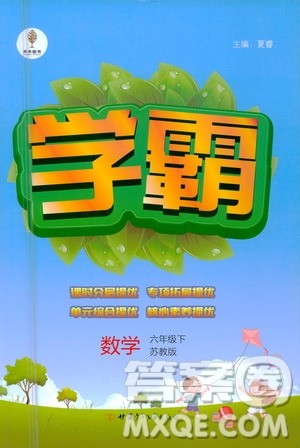 甘肃少年儿童出版社2021春经纶学典学霸数学六年级下苏教版答案